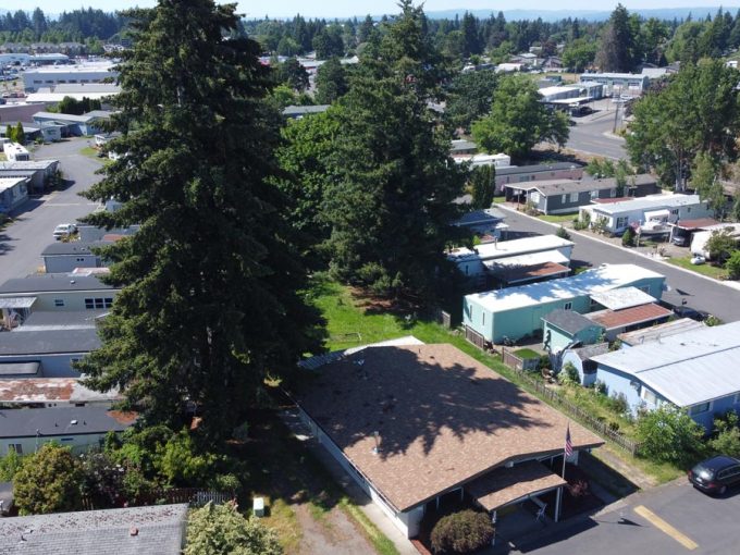 aerial view of terra buena