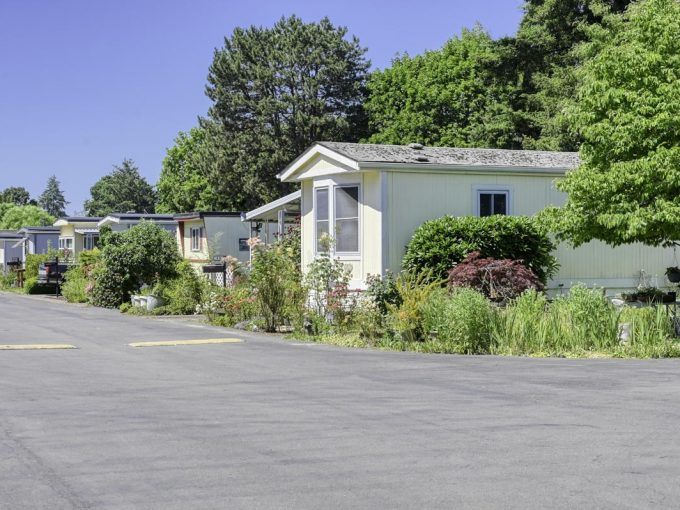 road with homes and lots of plants